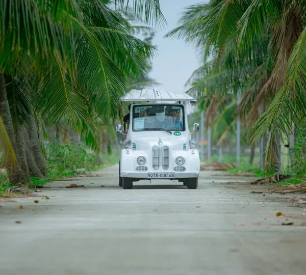 Hoi An Nature Tour