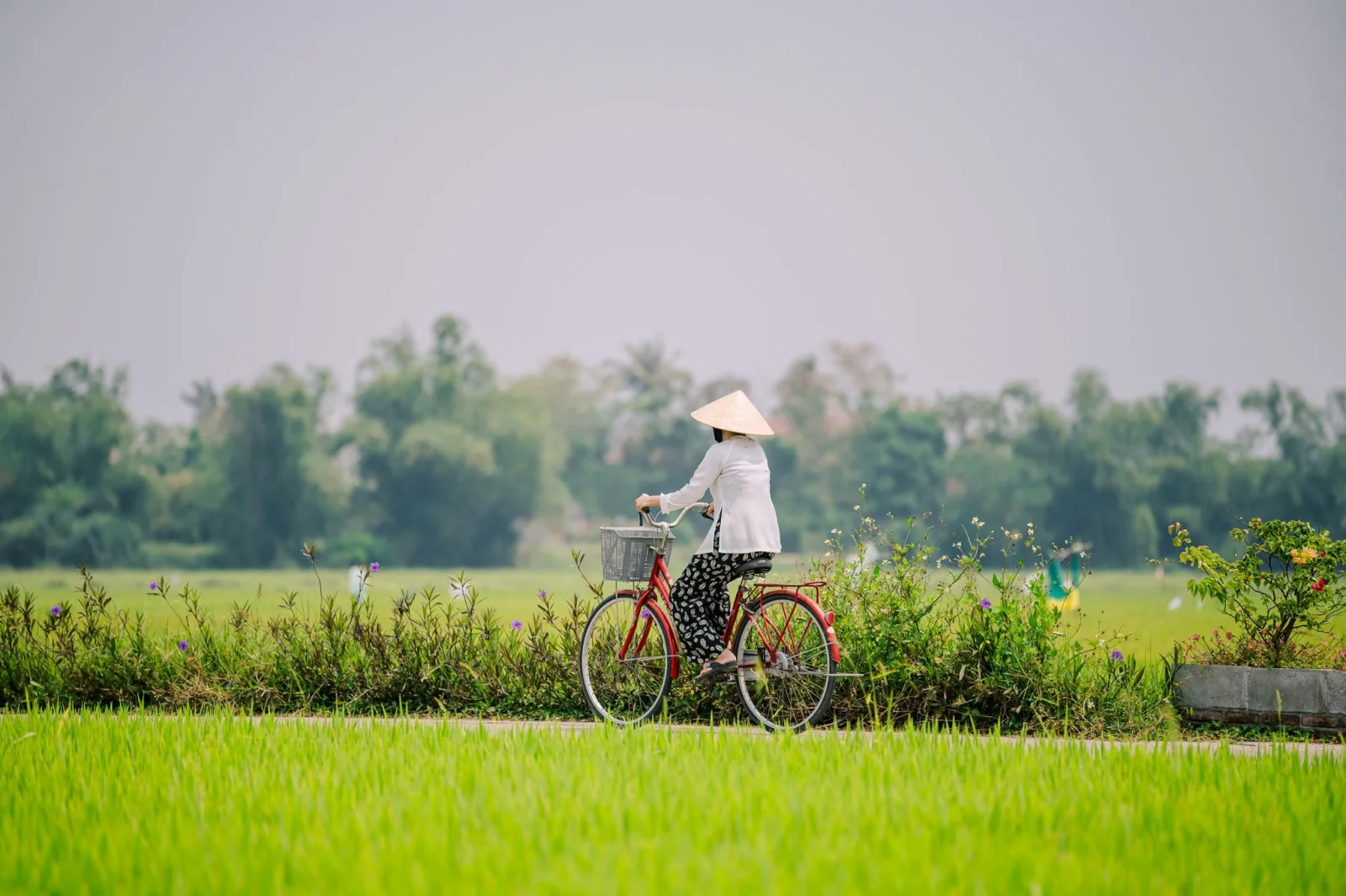 Tour Làng Quê Hội An